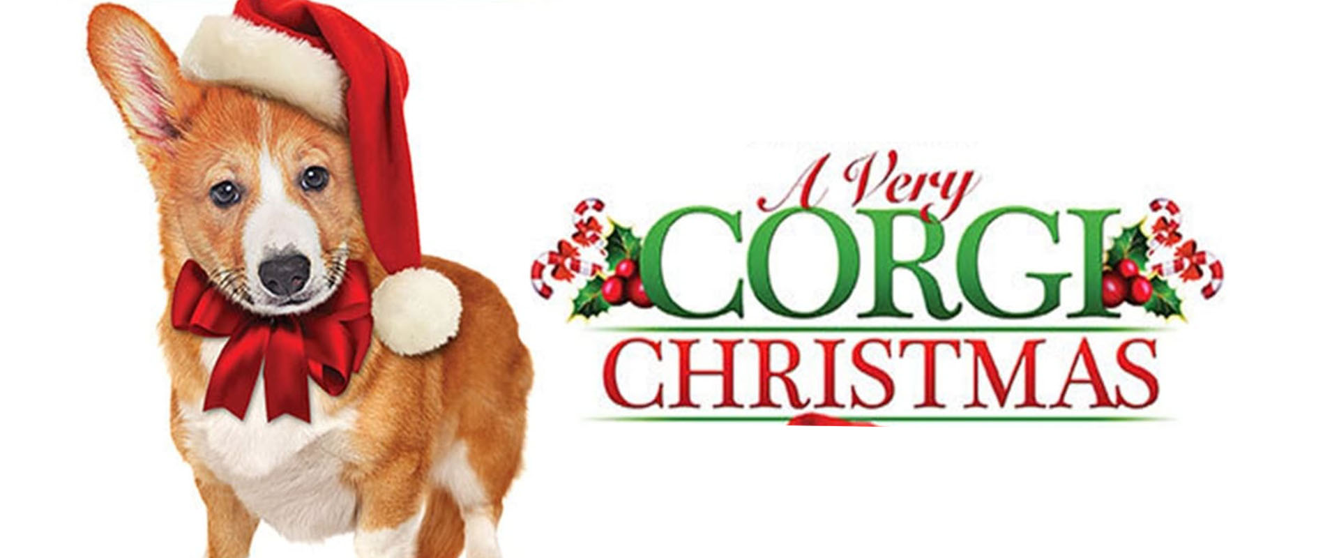 A VERY CORGI CHRISTMAS (LE BAISER DE NOËL)